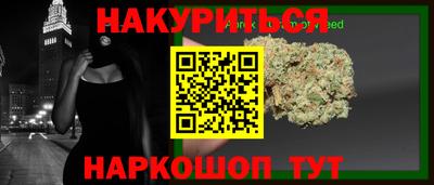крисы Аша