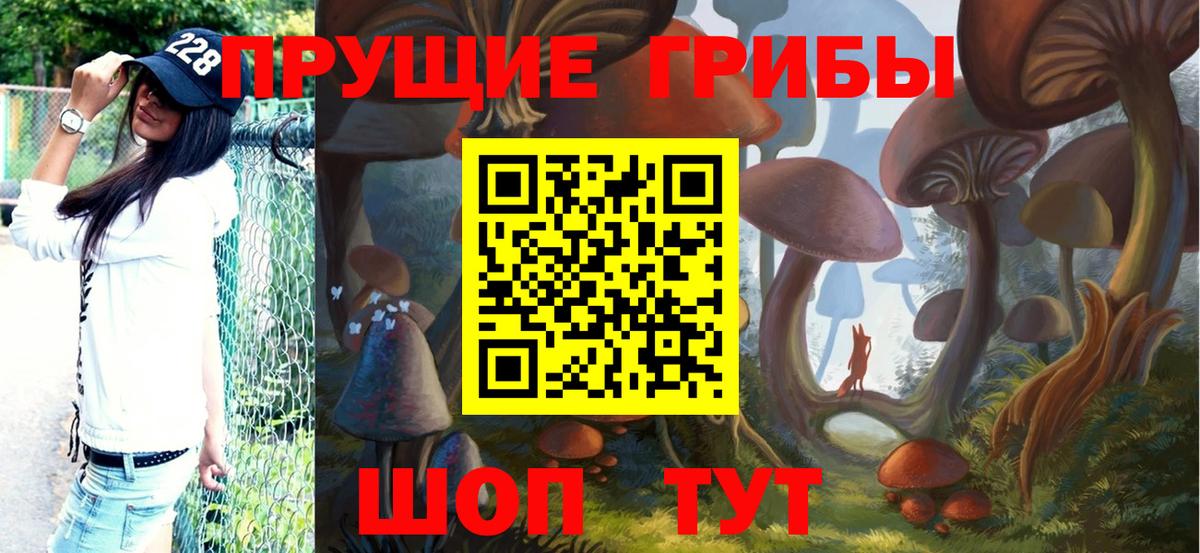 Солнечногорск  Галлюциногенные грибы прущие грибы  даркнет сайт  Галлюциногенные грибы прущие грибы  Вход с VPN 